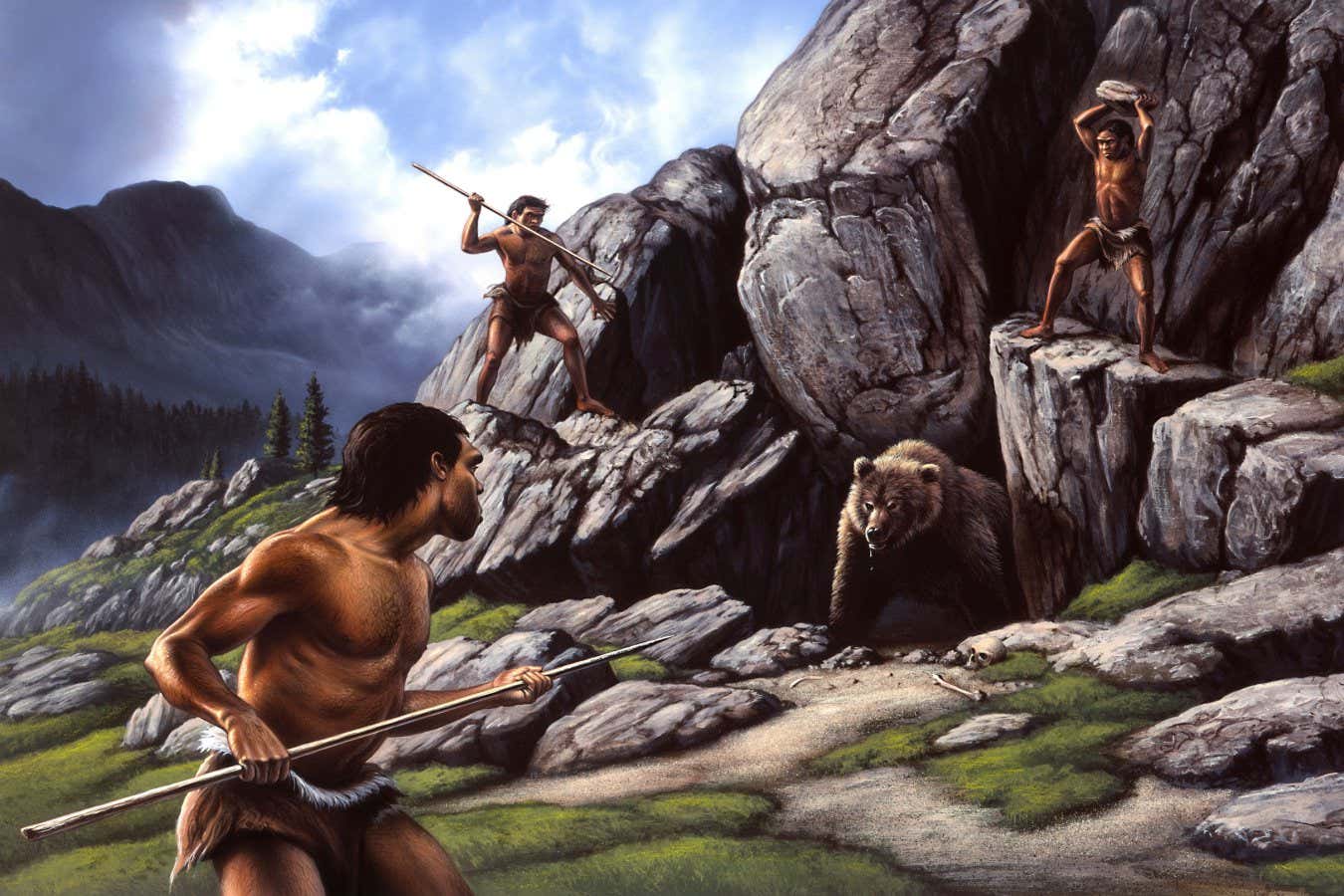 Neanderthals hunt a cave bear.